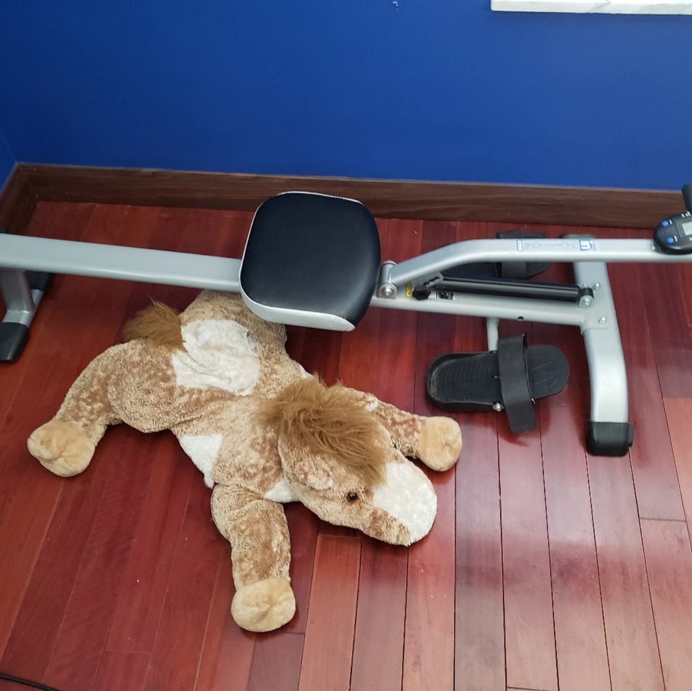 Rower Machine - Picture 2 of 2